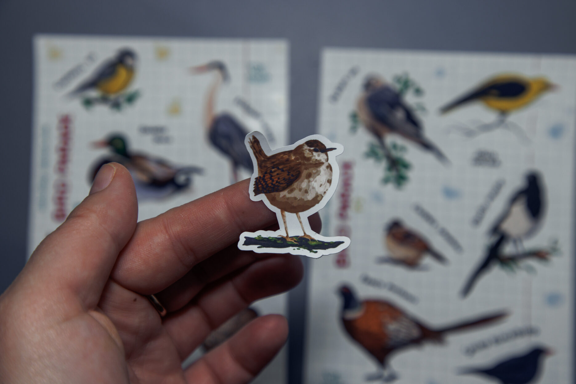 Focení nových samolepek a pohlednic pro Saturday.Sketch