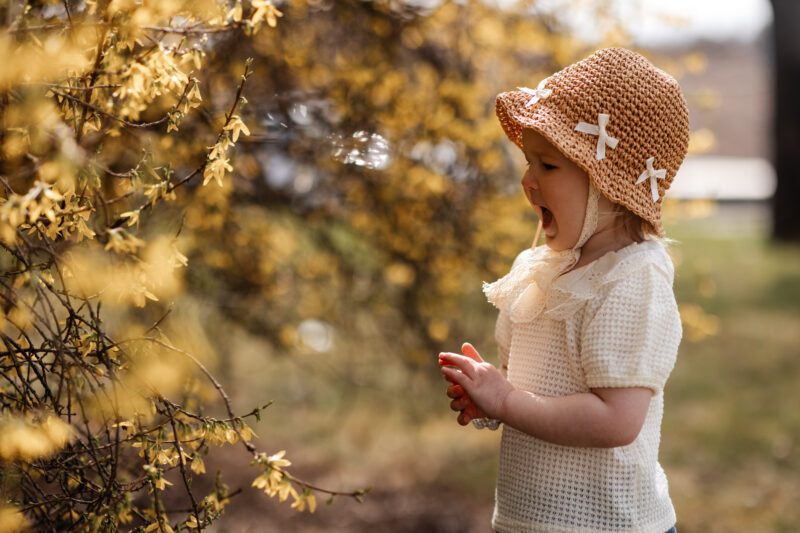 Fotominutky v květnu
